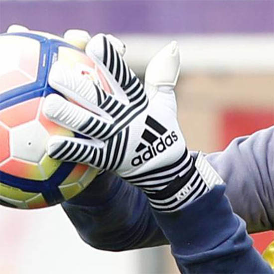 Adidas goalkeeper top gloves 2017